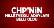 CHP'nin milletvekili adayları belli oldu