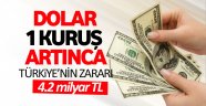 Dolar 1 kuruşluk artışın Türkiye'ye zararı!
