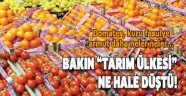 Domates ve enginarı bile ithal eder olduk