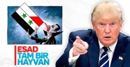 Dünya çapında kimyasal kavga! Trump 'Hayvan Esad' dedi