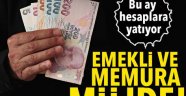 Emekli ve memurlar zamlı maaşlarını bu ay alacak