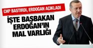 Erdoğan'ın son açıklanan mal varlığı