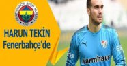 Harun Tekin 2 milyon Euro'ya Fenerbahçe'de