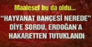 'Hayvanat bahçesi nerede' diye sordu tutuklandı