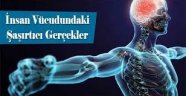 İnsan Vücudu Hakkında   İlginç Gerçekler