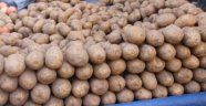 İthal patateste korkunç şüphe: "Kimyasal tehlikesi var"