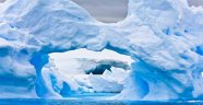 Kayıp Antarktika Gölünde Küçük, Tuhaf Yaratıkların Kalıntıları Keşfedildi