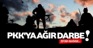 Pkk ya agır darbe