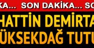 Selahattin Demirtaş ve Yüksekdağ ile 4 HDP'li vekil tutuklandı