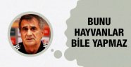 Şenol Güneş 'Bunu hayvanlar bile yapmaz'