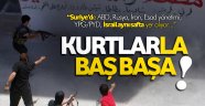 Türkiye, Suriye'de kurtlarla baş başa!