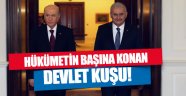 Yazarlardan Bahçeli yorumu!