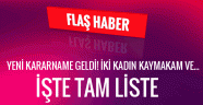 Yeni kararname kaymakam ve vali atama listesi