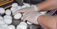 Zehirli yumurta skandalı Türkiye'ye de sıçradı