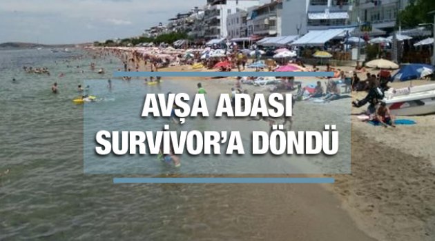 Tatilcilerin akın ettiği Avşa'da yiyecek bitti