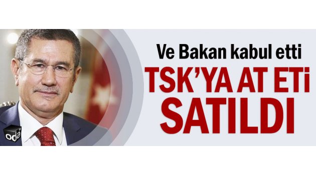 TSK'ya at eti satıldı