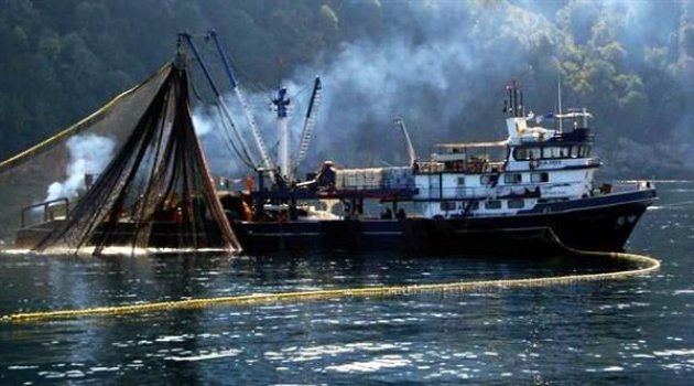 Türkiye nere Moritanya nere… 200 Türk balıkçı Afrika'da mahsur kaldı
