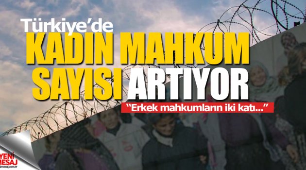 Türkiye'de de kadın mahkum sayısı artıyor