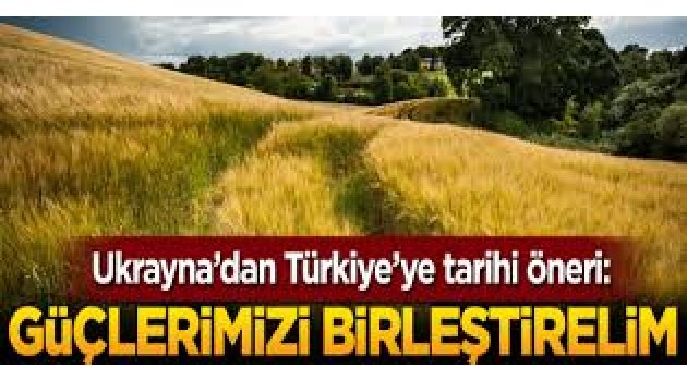 Ukrayna'dan Türkiye'ye tarihi öneri: Güçlerimizi birleştirelim