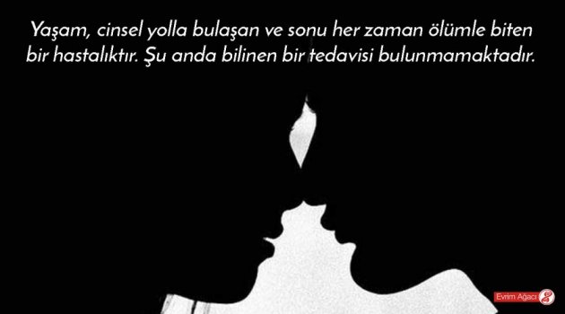 Yaşam, Cinsel Yolla Bulaşan Bir Hastalıktır!