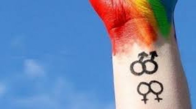 .Yeni Şafak yazarı Hayrettin Karaman'dan LGBTİ bireyleri kızdıracak yazı