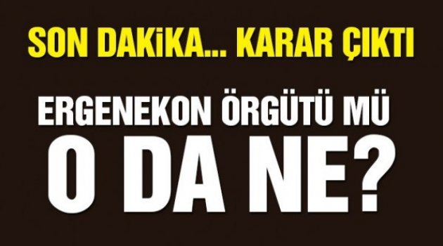 Yılmaz ÖZDİL yazdı Ergenekon