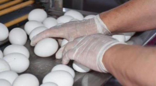 Zehirli yumurta skandalı Türkiye'ye de sıçradı