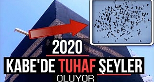 KABE DE YAŞANAN İNANILMAZ OLAY. 2020 EBABİL KUŞLARI KIYAMET HABERCİSİ Mİ?