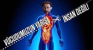 Vücudumuzun yarısından fazlası insan değil!