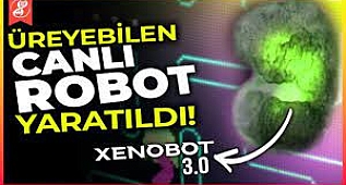 Bu Robotlar Canlı ve Artık Üreyebiliyorlar!