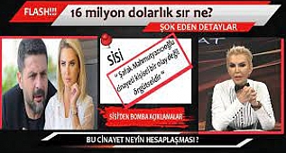 SEYHAN SOYLU MAHMUT YAZICIOĞLU'NU NEDEN UYARDI?