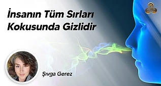 İnsanın Tüm Sırları Kokusunda Gizlidir | Şıvga Gerez