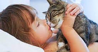 Kedi Öpücüğü: Kedinizin Sizi Nasıl Öptüğünü Biliyor musunuz?