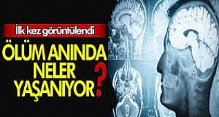 Ölüm anında beyinde neler oluyor?