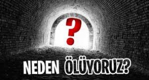 Ölüm Nedir? Neden Ölüyoruz? Evrimde Ölüm Neden Elenmedi?