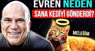 DAHA ÖNCE BİLMEDİĞİMİZ KEDİLERİN GİZLİ YETENEKLERİ
